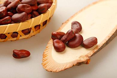 大明历史题材解谜AVG《锦鱼图》PC端今日首发上线！